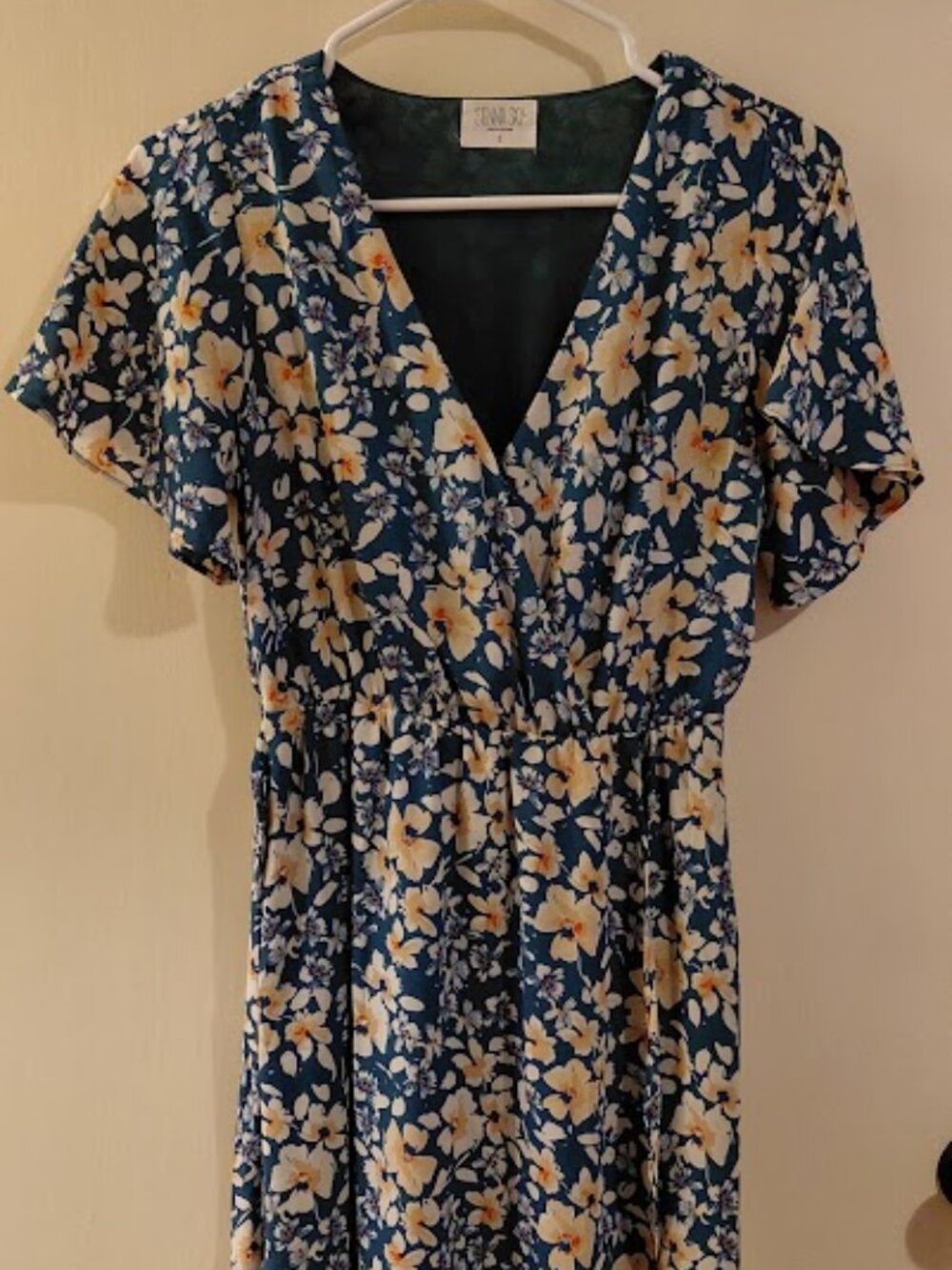 Sienna Sky Floral V-Neck Dress